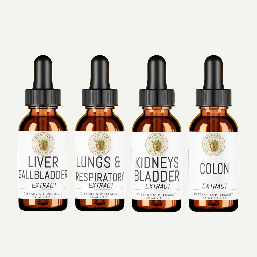 Children's Full Body Detox by Divine Medicinals: four amber dropper bottles of extract labeled Liver Gallbladder, Lungs & Respiratory, Kidneys Bladder and Colon