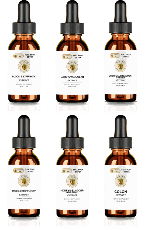 Full Body Detox liquid: six amber dropper bottles, one per formula