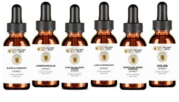 Full Body Detox liquid: six amber dropper bottles, one per formula