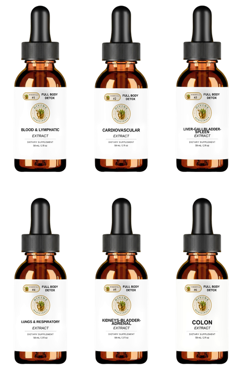 Full Body Detox liquid: six amber dropper bottles, one per formula