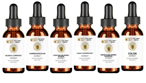 Full Body Detox liquid: six amber dropper bottles, one per formula